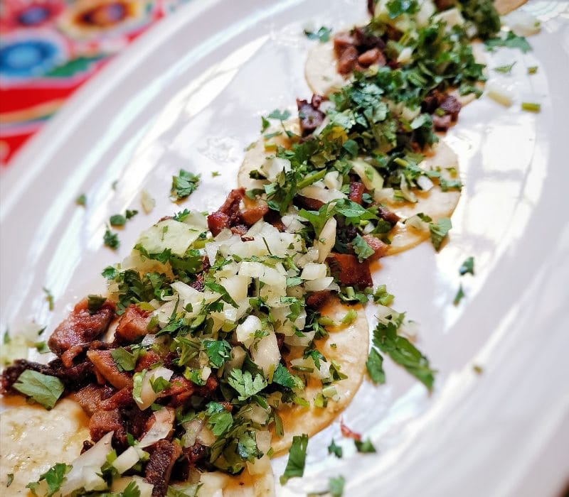 la tarantula restaurant tacos mexicanos